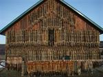 Barn Shot